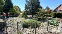 Teichanlage im Gartenbereich 