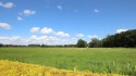 Ausblick über die angrenzenden Wiesen